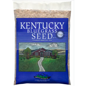 Kentucky Bluegrass Seed 1LBS