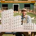 60 Pack Duck Egg Cartons Jumbo Egg Cartons Cheap Bulk with Sticker Labels Clear Empty Plastic Egg Containers Extra Large for Home Ranch Farm Commercial Market Display, 26 Grids