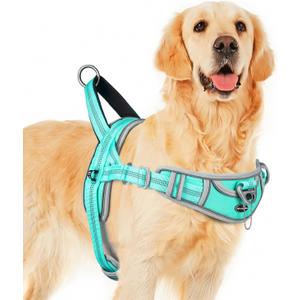 ADVENTUREMORE Medium Dog Harness - No Pull, Reflective, Escape Proof with Front Clip Handle for Training & Walking - Teal