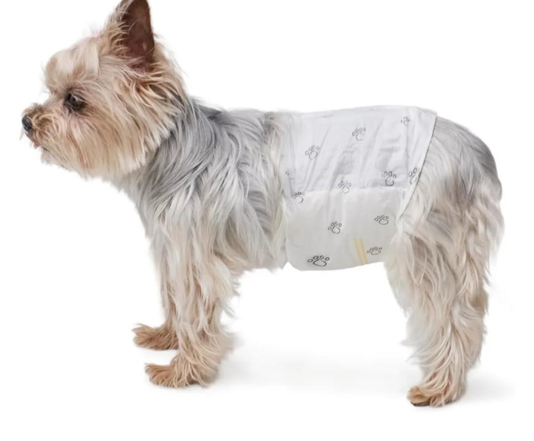 Amazon Basics Super Absorbent Male Dog Diapers, Leak-Proof Disposable Wrap with Wetness Indicator, Secure Fit, Breathable, X-Small, 30 Count