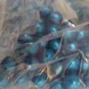 250 Police Training .43 Caliber 11mm Paintballs Sky Blue Kingman Chaser Eraser rap4 Guns