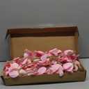 38 Inch 6 PCS Orchids Artificial Flowers Pink Fake Orchids Velvet Silk Orchids Faux Orchid Flowers Long Stem Artificial Flowers for Tall Vase for Home Wedding Decoration(Baby Pink)