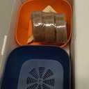 HOME GROWN Bonsai Tree Kit  6 Heirloom Varieties with Unique Pots  DIY Bonsai Starter Kit for Adults & Beginners  Christmas Gift for Men Women Gardeners Plant Lovers  Indoor Growing Kit