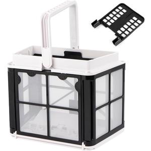 Ultra Fine Filter Basket Compatible with Dolphin Robotic Pool Cleaners S50, S100, Active 10, Active 15, T15, T25, E10, Explorer E20,Part 9991459-R1