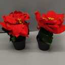 Mini Poinsettias Artificial Plants 2 Pack 9" Faux Small Christmas Flowers in Pot for Home Office Tabletop Indoor Christmas Decorations Red