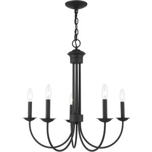 Livex Lighting 42685-04 5 Light Black Chandelier, 25"L x 25"W x 24"H