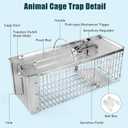 Live Animal Cage Trap, Heavy Duty Humane Cage Trap for Squirrels, Chipmunks, Rabbits, and Small Rodents, Safely Catch & Release - 1 Trap