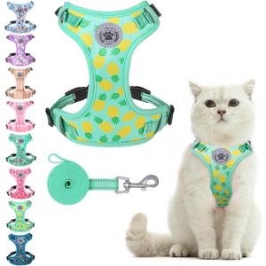BEAUTYZOO Cat Harness and Leash Set Escape Proof, Small Cat Vest Harness for Walking, Adjustable Step in Kitten Harnesses for Travel, Soft Lightweight Outdoor Cute Kitten Harnesses, Pineapple S