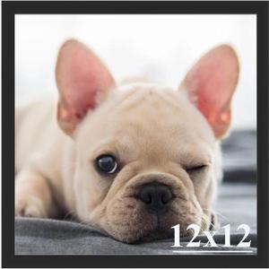 RUN HELIX 12x12 Picture Frame, Wall Gallery Photo Frames,Stable and Sturdy Black Frame with High Definition Plexiglass,12x12 Poster Photo Frame,Horizontal and Vertical Formats for Wall Hanging, Black