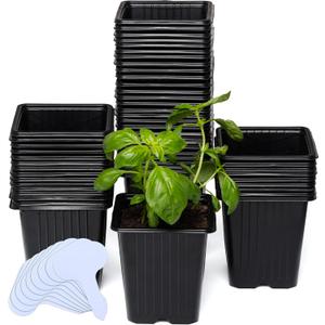 CARPATHEN 60Pack Square Nursery Pots - 3.8 Inch Reinforced Nursery Pots for Plants with Drainage - Reusable Seed Starter Pots for Flowers, Vegetables - Seedling Pots Kit with 10 Plastic Reusable Tags