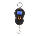 Hanging Scale, Electronic Tension Calibrator with LCD Digital Display Manual Tennis Badminton Racket String Tools Portable Mini CraneScale for Home Farm Hunting Outdoor