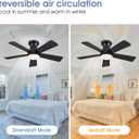 41" Black Low Profile Ceiling Fans with Lights and Remote, Modern Flush Mount Ceiling Fan Light with Quiet Reversible DC Motor for Bedroom Kitchen