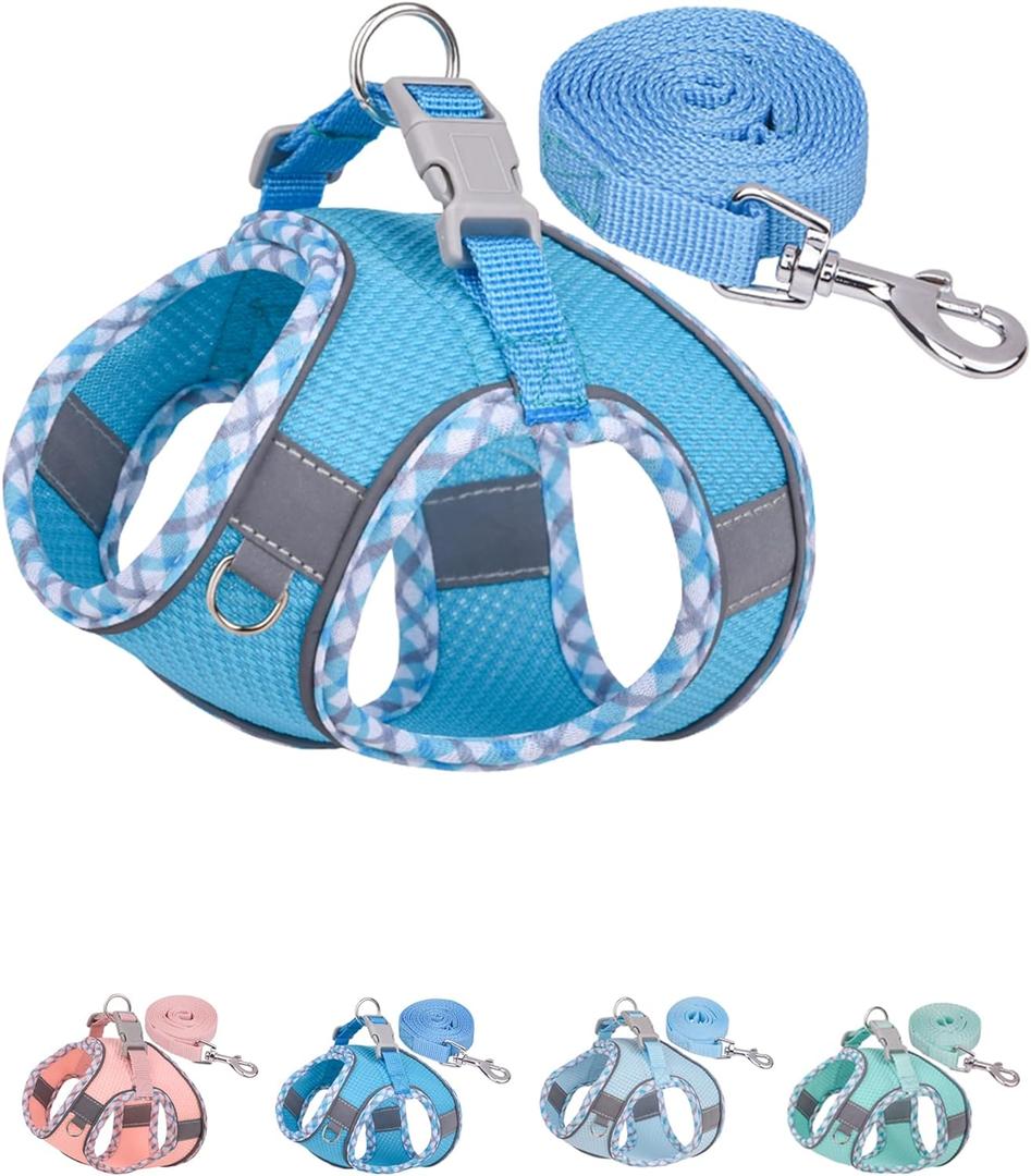 Petank Dog Harness No Pull, Puppy Harness and Leash Set, Step in Dog Harness for Walking, Running, Training, Small Dog Vest(Bule, XXS)
