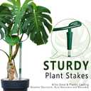6 Pack Threaded Lock Metal Plant Support Stakes - 25" H Tall Peony Cage, Reusable Detachable Garden Ring for Hydrangea/Rose Bush/Potted Flowers, Indoor Outdoor Heavy Duty (10" W)