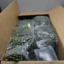 Easter Bunny Topiary 36'' Artificial Bunny-Shaped Topiary Double Ball Tree Pot Easter UV-Resistant Bowknot Faux Boxwood Topiaries Plant for Porch Decor Outdoor/Indoor 2 Pack (3FT)