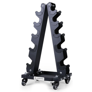 LIONSCOOL Premium Solid Steel Dumbbell Rack Stand Only, A-Frame Portable Weight Storage Organizer with Optional Tray and Wheels, Perfect for Home Gym Fitness Storage (90LBS/200LBS/300LBS/700LBS