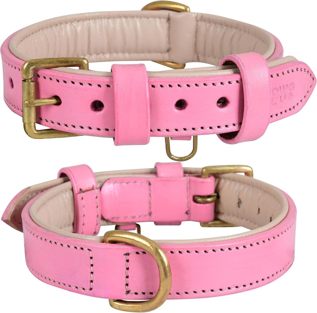 Leather Dog Collar for Medium Dogs, Light Pink, 1 Inch Wide, Genuine Leather, Heavy Duty with Soft Inner Padding, Comfortable and Durable (Blush Pink, M (Fit Neck Size 14.5"-18.5"))