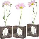 Plant Propagation Station, Glass Test Tubes with Wooden Stand for Plants, Propagation Tubes for Birthday, Housewarming, 3 Pack Plant Terrarium Vase