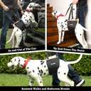 Tuff Pupper Dog Sling Hip Harness | Rear Lift Support for Senior & Injured Dogs | Adjustable Mobility Aid | Strong Padded Handle | Comfortable Design | Hip & Hind Leg Assistance (Tall, Male)