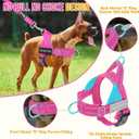 Lukovee No Pull Dog Harness & Leash Set - Heavy Duty Dog Vest Harness with Soft Padded for Medium Large Dogs, Adjustable Reflective Tactical Pet Harness for Easy Walk and Training (L, FU)