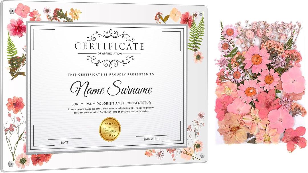 Kathfly 11 x 14 Inch Clear Acrylic Wall Mount Picture Frame Self Adhesive with Pink Dried Pressed Flowers Floating Frameless Clear Photo Frame for Diploma Certificate Degree Painting Artworks Craft