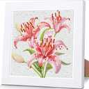 Diamond Art Painting Kits for Kids with Frame,Lily Diamond Art for Kids Ages 4-8-12,Flower Diamond Painting for Kids Beginners 5D Full Drill Gem Art for Kids DIY Crafts for Girls 8-12 (7x7 Inch)