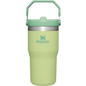 Stanley IceFlow Flip Straw Tumbler with Handle | Twist On Lid and Flip Up Straw | Leak Resistant Water Bottle | Insulated Stainless Steel | BPA-Free (30 Ounces, Citron)