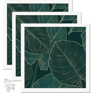 White Picture Frame Set of 3, 13x13 Picture Frame for Square Photo Poster Canvas Certificate Document Display Horizontally or Vertically High Transparent Wall Gallery(Size 13 x 13 inches)