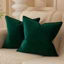 JUSPURBET Dark Green Decorative Pillow Covers 22x22 Set of 2 Throw Pillow Covers for Couch Sofa Bed Cozy Velvet Cushion Covers Cases with Hidden Zipper for Living Room Home Decor