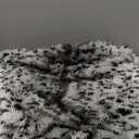 LIFEREVO Luxury Cheetah Print Shaggy Plush Throw Blanket Soft Fluffy 50"x60" Warm Comfy Throws Faux Fur Blanket Throw Fuzzy Fur Throw for Office Couch, Sofa, Living Room, Leopard Print Grey