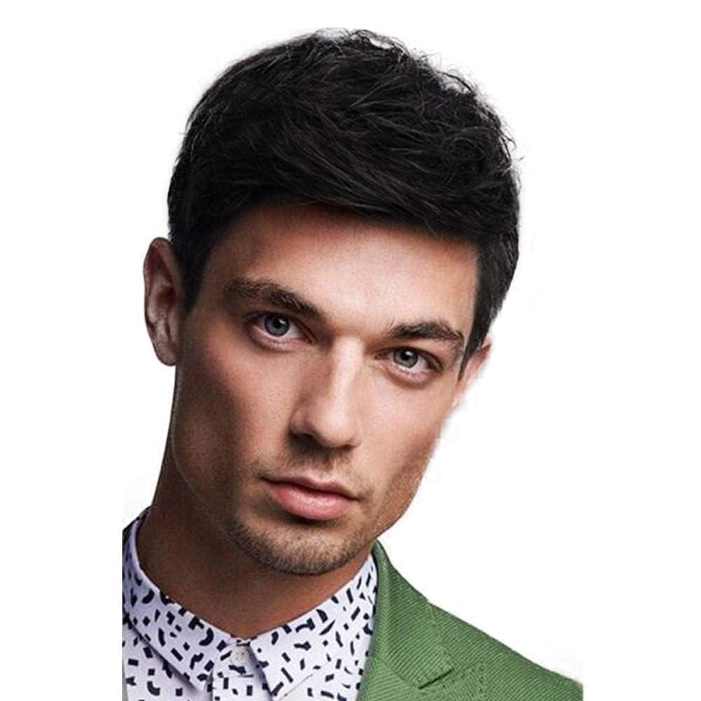 Kaneles Mens Black Wig Short Straight Fluffy Realistic Hair Wig Synthetic Daily Party Costume Wigs for Male Guy (Black)