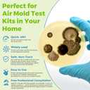 Mold Test Kit for Home-6 Simple Detection TestsTest HVAC System,Home Surfaces,Indoor Air Quality Testing KitsDIY Black Mold Detector at HomeIncludes Detailed Mold Identification Guide