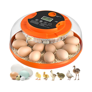 18 Egg Incubator with Automatic Egg Turning and Humidity Control, Incubators for Hatching Eggs, Chicken, Ducks, Goose, Pigeon, Quail, Parrot Incubator for Farm, Lab, Science Classroom, Home (Orange)
