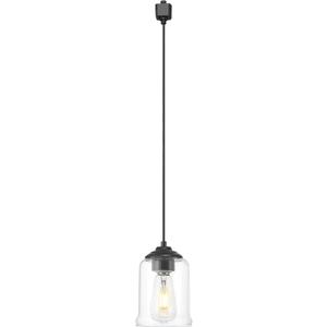 zeyu H Type Cord Adjustable Black Track Lighting Pendant, 1-Light Track Mount Light for Kitchen Island, Clear Glass Shade, Black Finish, ZSL104TP BK