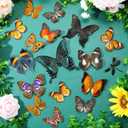 Thyle 30 Pcs Real Taxidermy Butterfly Specimen Artwork Material Decor Natural Unmounted Butterfly Collection Assorted Taxidermy Animals for Entomology Craft Home Office Display Artwork