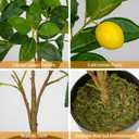 2Ft Artificial Lemon Trees, 2 Packs Large Artificial Plants Indoor with Black Pots Faux Potted Citrus Trees Fake Floor Plants Lemon Decorations for Home Living Room Office, Bedroom Table, Desk