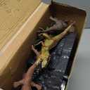 Enjoyin Volcano Dinosaur Playset Including 4 Dinosaurs and 2 Trees Volcano Dinosaur Toys for Kids