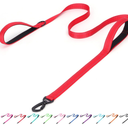 Pimaodog Martingale Dog Collar with Stainless Steel Chain (S, Light Blue) and Bbmmayy Reflective Nylon Dog Leash - The Heavy Duty Hero Leash (Red, 5FT×1'')