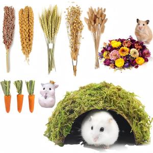 Hamster Cage Accessories - Natural Spray, Chew Food, Bedding & Habitat Decoration, Gerbil Feed