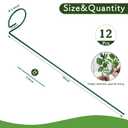 FEED GARDEN 36 Inch 12 Pack Plant Support Stakes, Metal Garden Flower Stakes and Supports for Outdoor Plants, Plant Stem Support with 24 Twist Ties for Amaryllis Lily Rose Peony Tomatoes Gladiolus