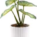 Faux Plant Decor Artificial Greenery Leaf Small Potted Plastic Vase for Home Bathroom Table Centerpieces Office Ledge Shelf Desk