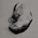 Half White Half Black Mix 24inch Straight Heavy Density Realistic Heat Resistant Synthetic Lace Front Wig