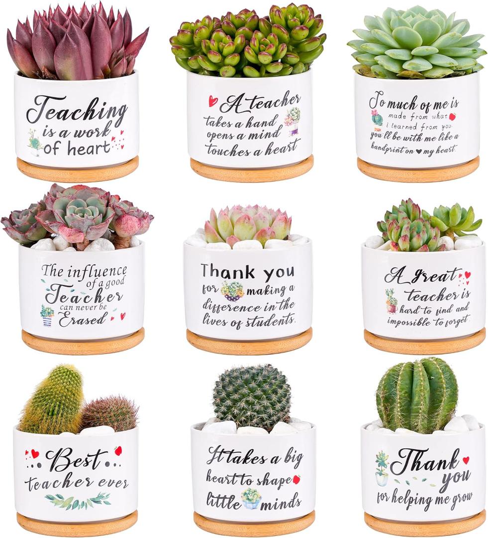 SAIWEILAI ONLINE 9 Pieces Teacher Appreciation Gifts Ceramic Succulent Plant Pot Small Flower Planter Funny Cute Succulent Plant Pot Planter Succulent Accessories for Teacher Christmas Birthday Gift