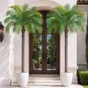 6ft Artificial Phoenix Palm Tree, Faux Coconut Silk Tropical Fake Palm Plant for Indoor Outdoor Home Office Patio Bathroom Pool Coastal Decor(Set of 2)