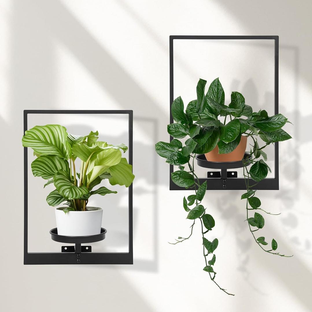 Wall Plant Holder Floating Shelves for Wall Set of 2, Wall Planters for Indoor Plants - Premium Metal Hanging Plant Holder for Indoor Outdoor Decor