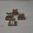 Glass Jars 4 Packs
