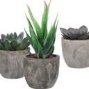 3pcs Faux Succulent Bonsai Cactus Plant Pot Flower Pot Container Plant Bonsai Artificial Simulation Plants with Pots Gife Idea Decorative