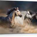Animal Horse Canvas Wall Art: Galloping Horses Picture Farm Wildlife Photography Painting Print Equestrian Artwork Decor for Living Room Office Bedroom Home 36 x 24 Inch