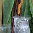 Realistic Artificial Indoor Plant Tree - Tall Fake Dracaena Potted Plant for Home Office Decor, Living Room & Bedroom - Lifelike Faux Plant Tree with Pot-Palm Tree (Black, 5FT)