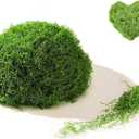 SETRUE Fake Green Moss for Crafts, 5.3 OZ Artificial Fake Green Moss for Planters Faux Moss Decor for DIY Decorative Table Centerpieces Decor Fairy Garden Model Making (150g)